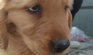 怎么做鬼脸 怎么做鬼脸